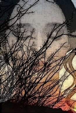 grea-i viata romanului de dorina omota