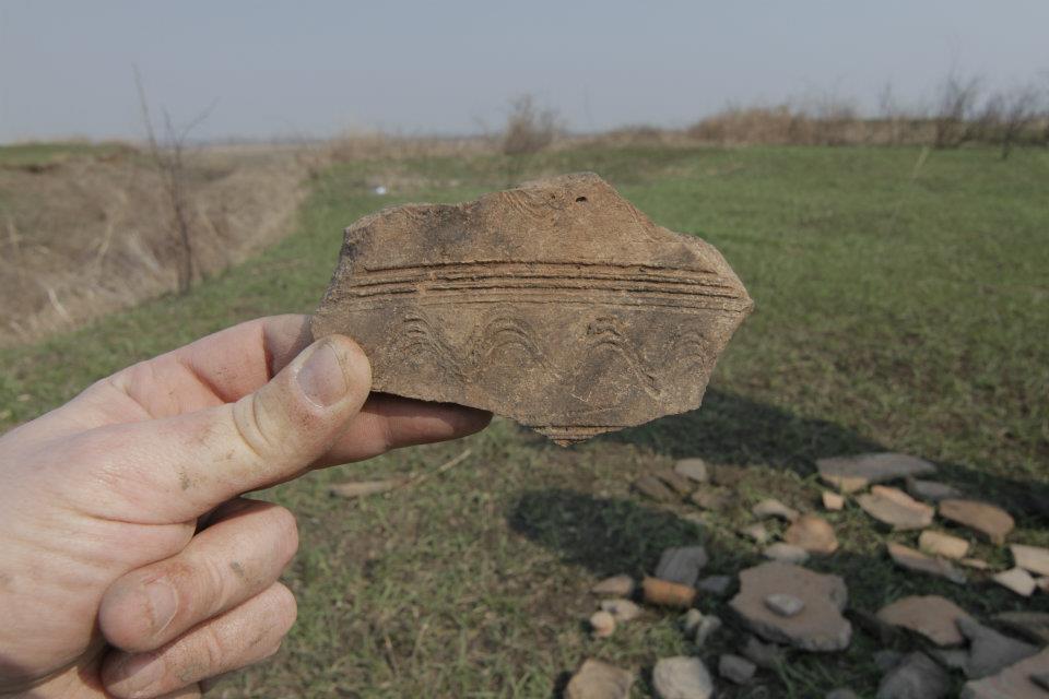 istoria se scrie de aurelia oanca