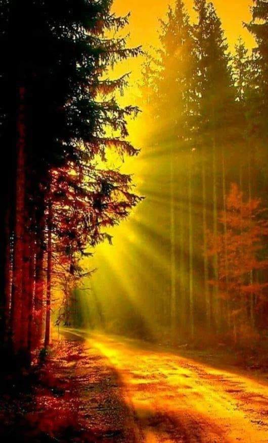 iulie de violeta butnariu