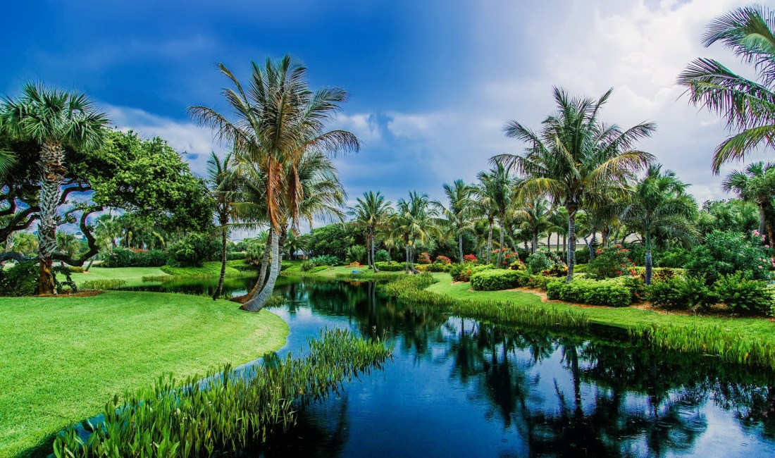 legea junglei de marilena dumitrescu.jpg