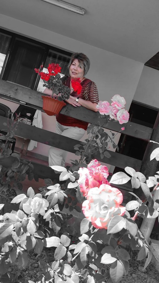 m-ai regasit de carmen pinte