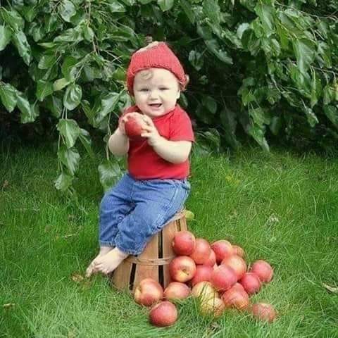 mere dulci de valentina petraru