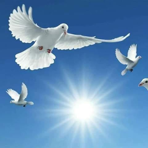 n-as lasa... de teodora dumitru