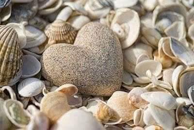 peisaj marin de valentina petraru