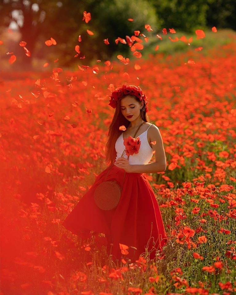 piara dorurile toate  de catun rodica.jpg