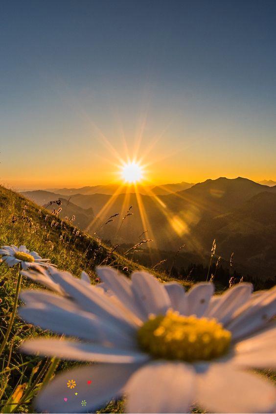 popasul soarelui de aurelia oanca