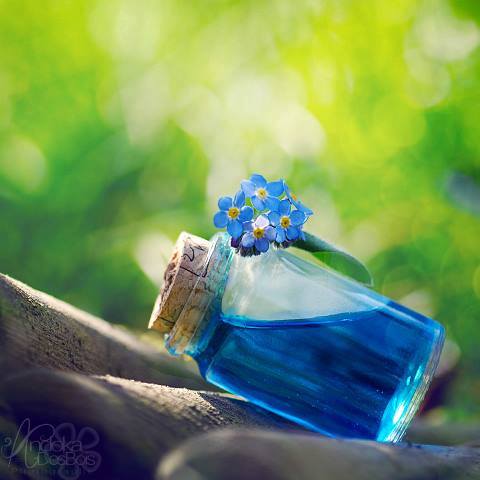 raspunsuri am gasit de aurelia oanca