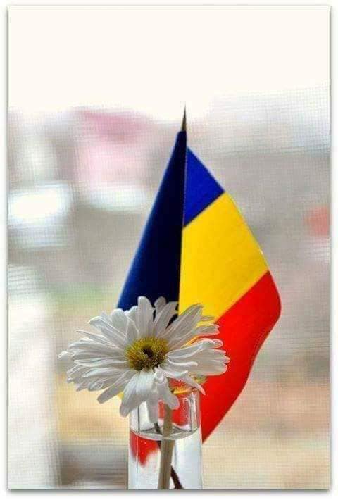 sa iubesti tricolorul de sandu chiva