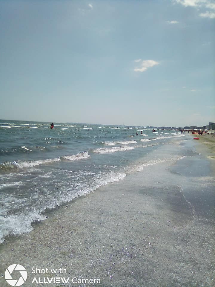 scrisoare de la malul marii de teodora dumitru