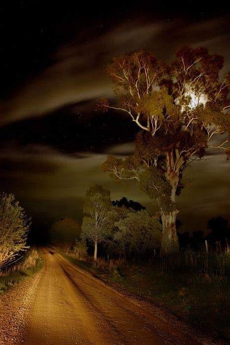 serenada noptii de aurelia oanca