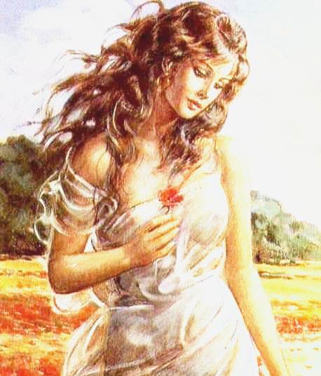 stele si maci de mugurel puscas