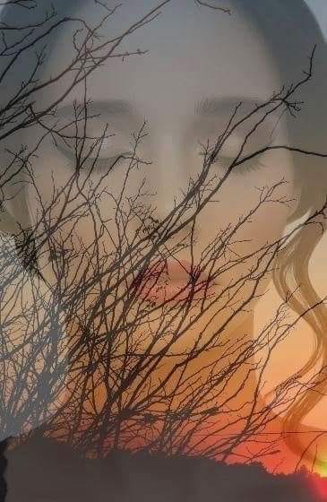 sunt de valentina petraru