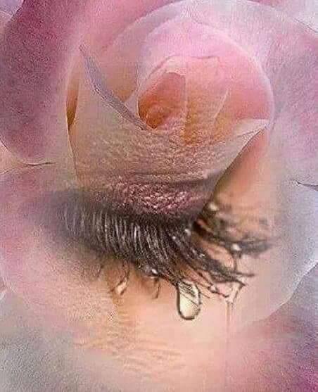 timpul de carmen pinte