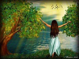 toate au timpul lor de catun rodica