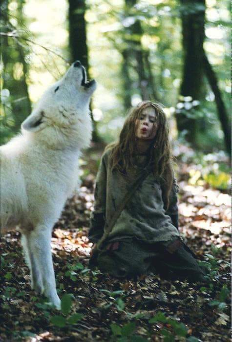 urla lupii de sandu chiva