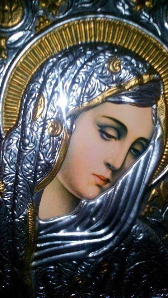 cateodata Maicuta mea de Elena Tudosa