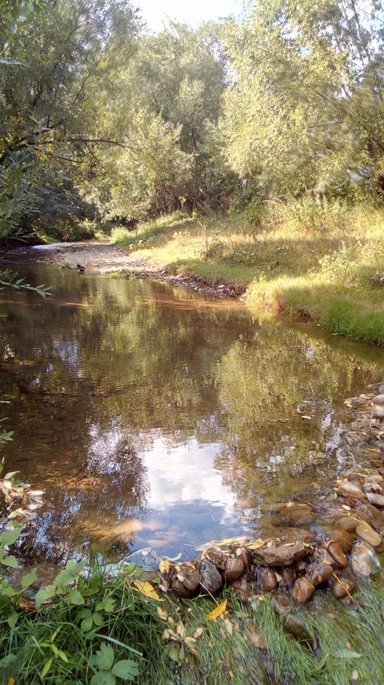 ce ma fac eu fara tine de maria mazere