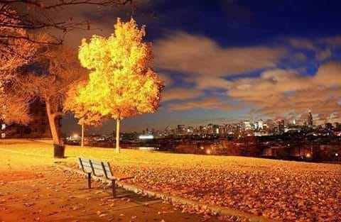 de ce de maria mazere