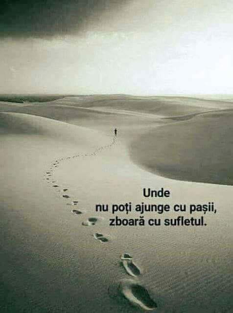 dor de umbre de loreta toader