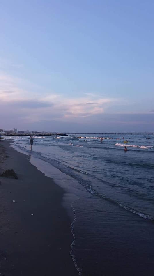 inserare de teodora dumitru