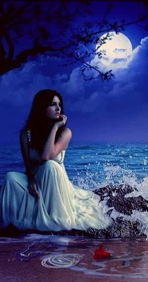 introspectie de loreta toader