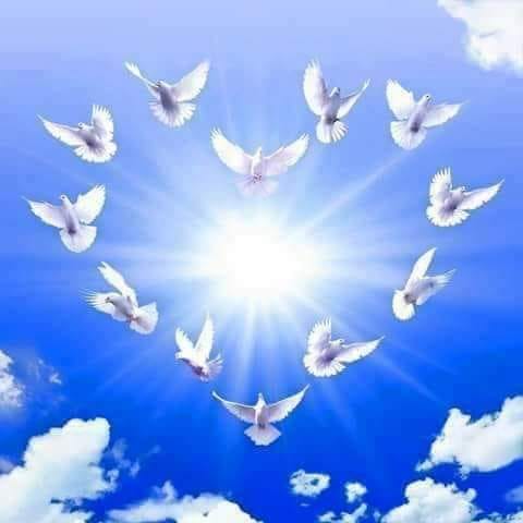 limba mea de teodora dumitru