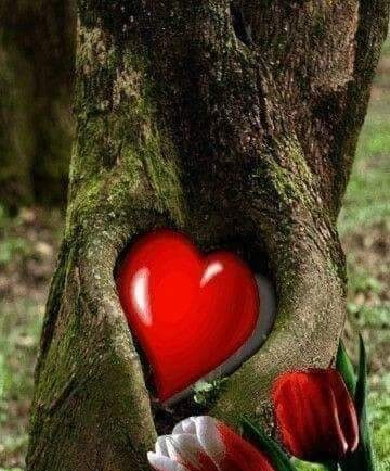 mi-am certat de elena tudiosa