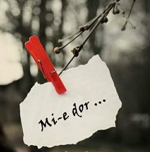 mi-e dor de noi de elena tudosa