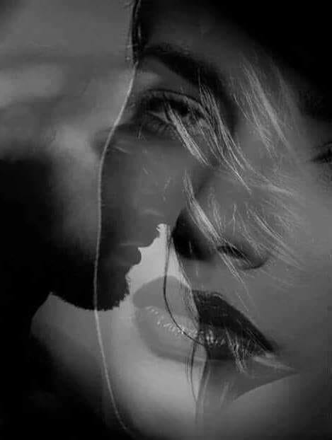 noi de loreta toader