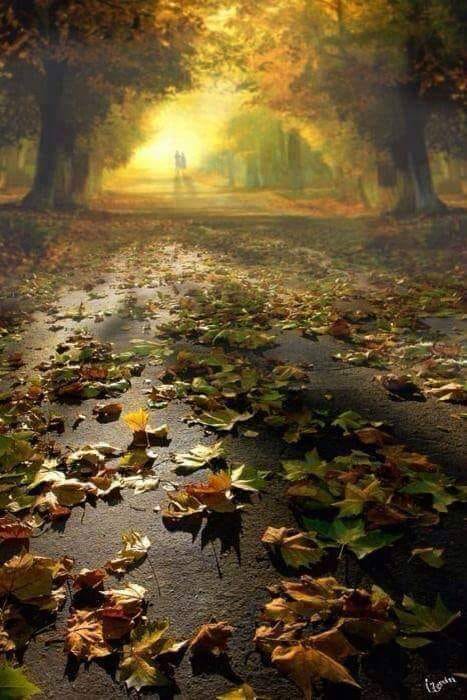 nu mai vreau de sandu chiva