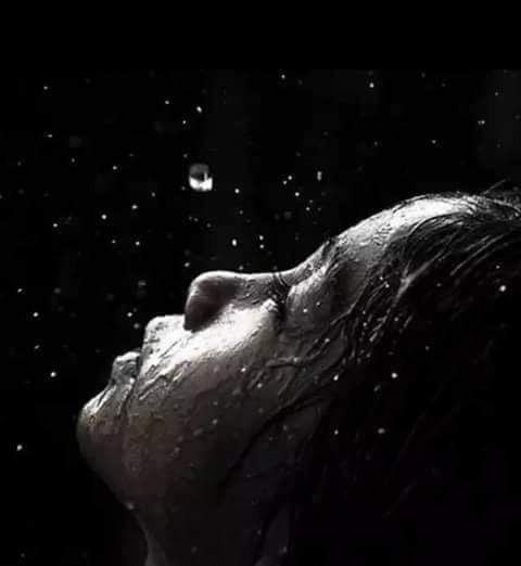 Ploi de doruri de elena tudosa