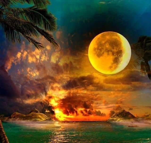 regasire de loreta toader