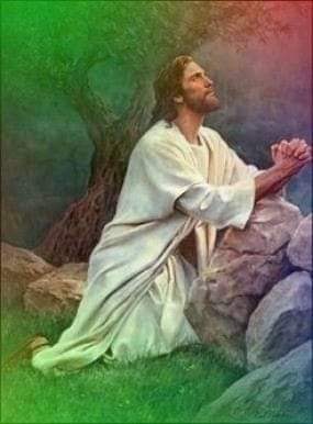 te rog Doamne finte mai fa o minune de elena tudosa