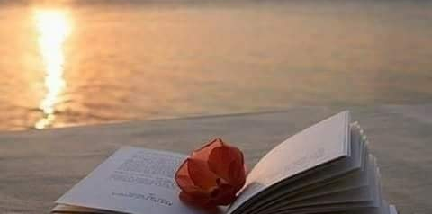 urme de pasi in viata de elena tudosa