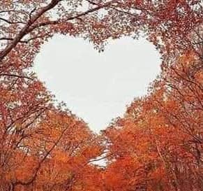 alunga-mi toamna inimii de mugurel puscas