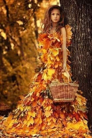 anotimpul sufletului meu de petraru valentina