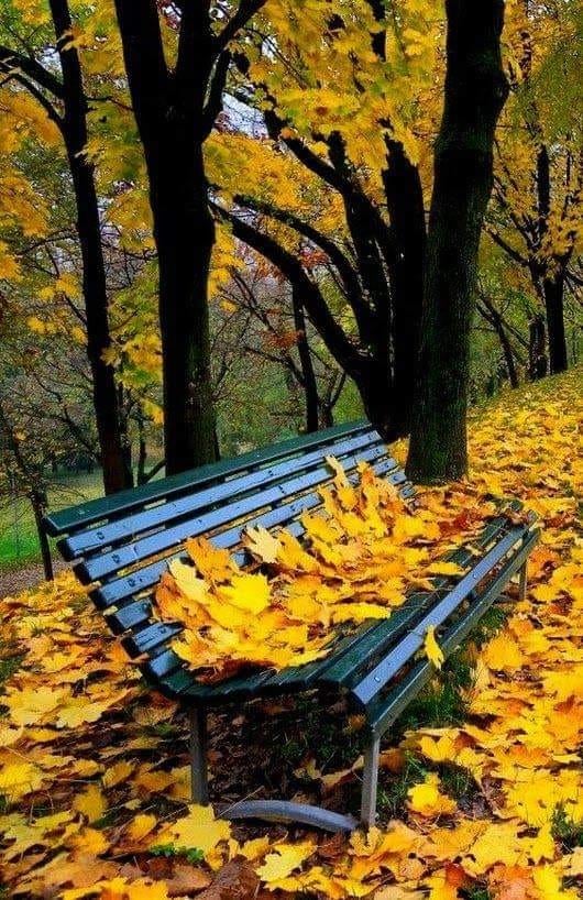 argint la tample de aurelia oanca