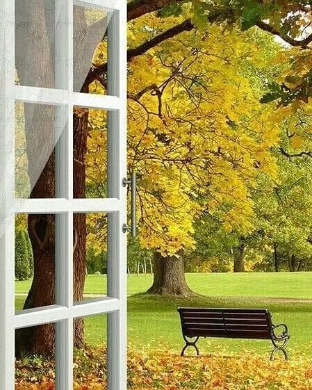 aurul toamnei de aurelia oanca