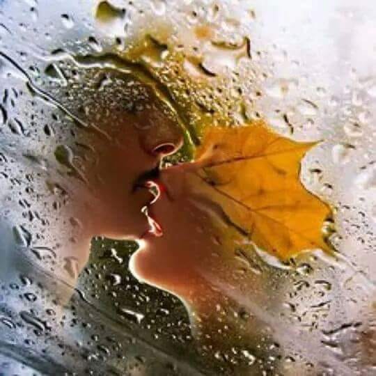 ce caut eu de valentina petraru