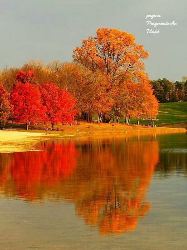 dans frenetic de aurelia oanca
