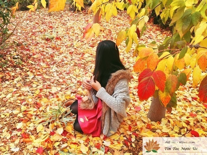 de dorul tau de marilena stefan