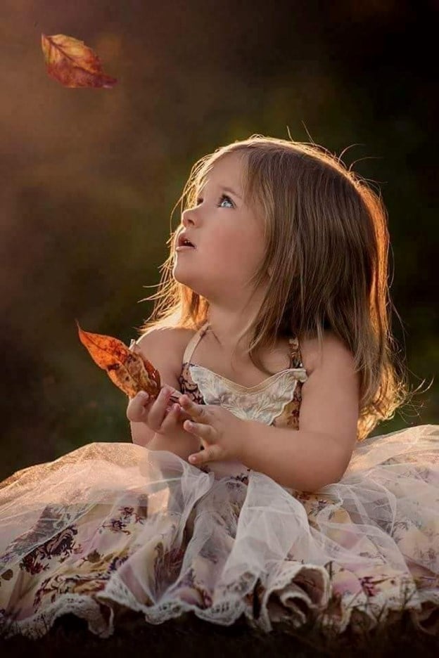 in lume copacei de aurelia oanca.jpg