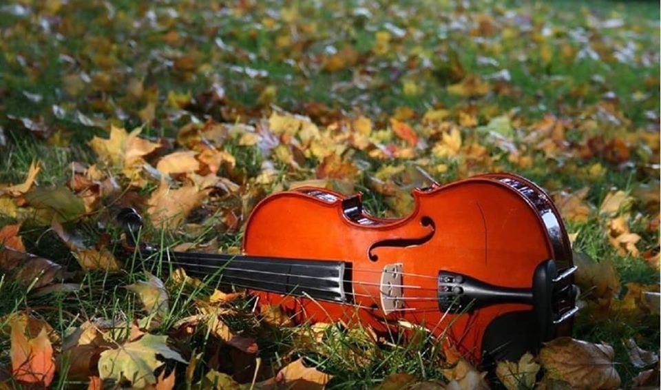 o romanta de aurelia oanca.jpg