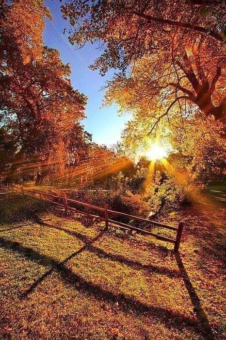 octombrie bine ai venit de maria mazere