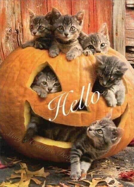 peisaj de toamna de valentina petraru