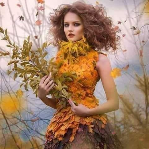 ROCHITA TOAMNEI DE MARIA MAZERE