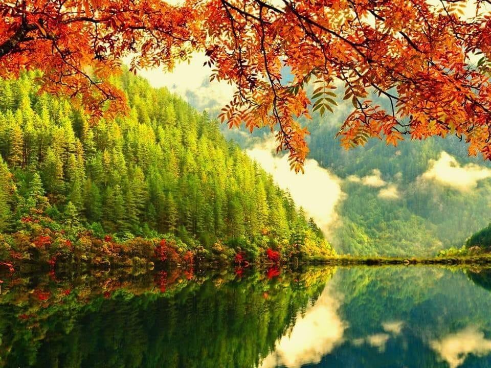 sa ne bucuram de aurelia oanca