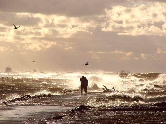 sonetul marii de dvd