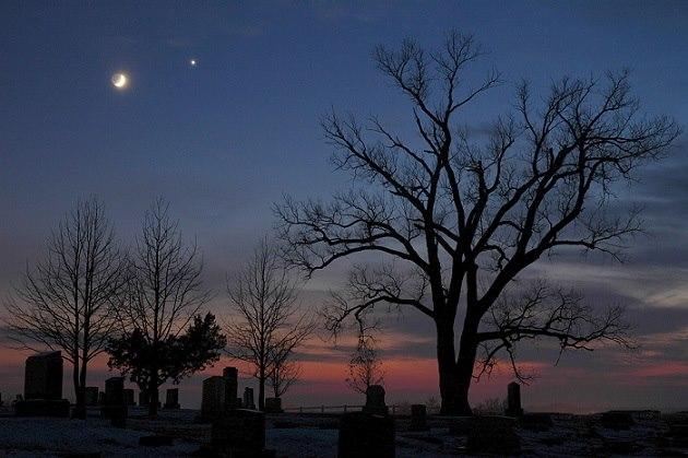 steaua ochilor mei de dvd