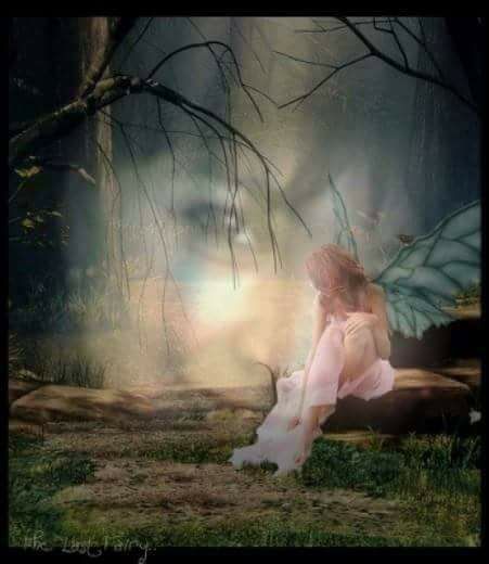 sufletul se ascunde de aurelia oanca